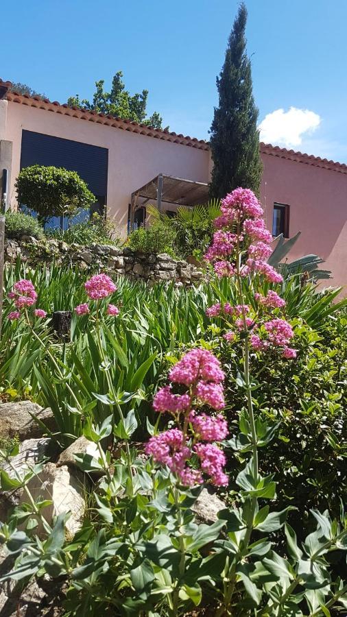Bastide Cigaline Villa Le Beausset Buitenkant foto
