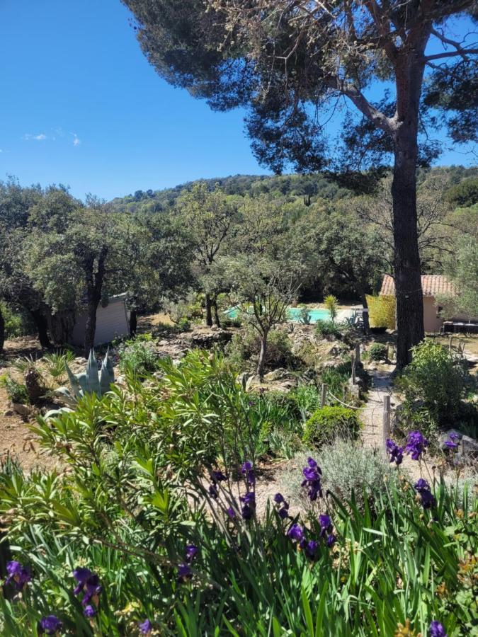 Bastide Cigaline Villa Le Beausset Buitenkant foto